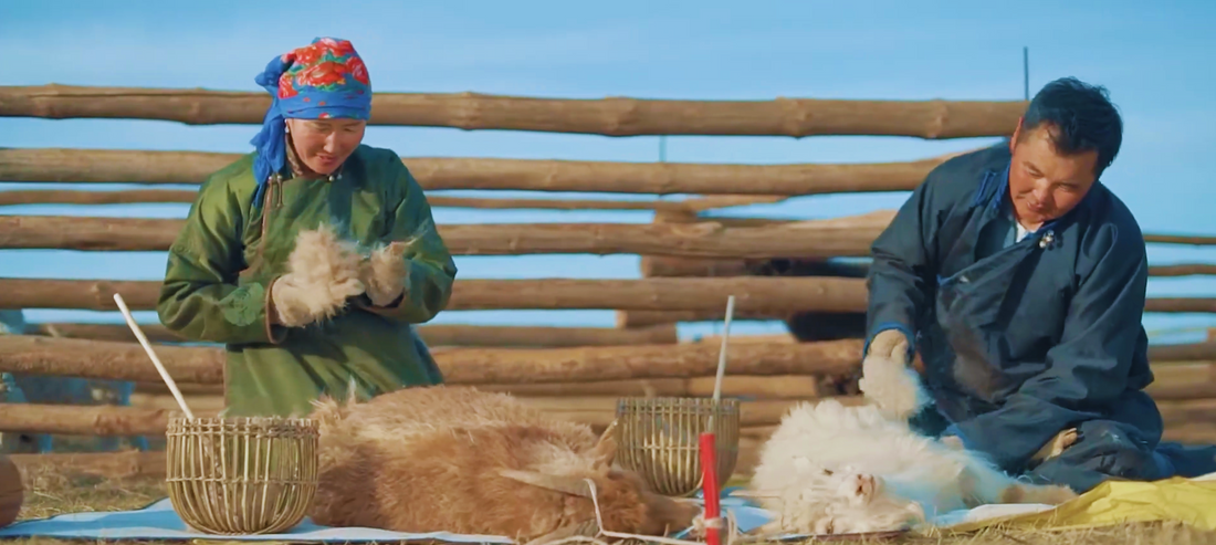 Behind Every Cashmere Jumper: Life at –40°C on Mongolia’s Frontline of Luxury